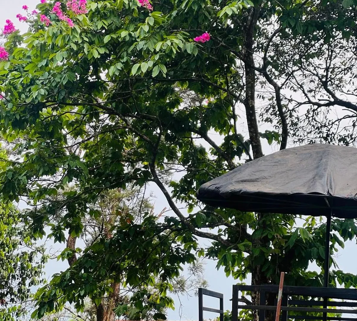 Misty Cloud Resort 维特利