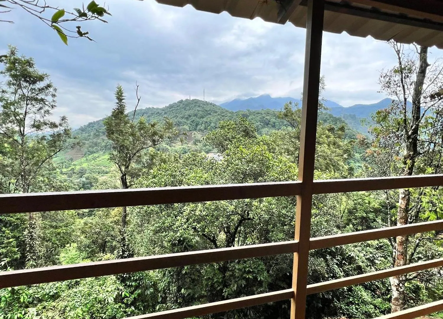 Misty Cloud Resort 维特利
