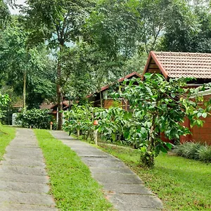 Mist Resort