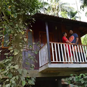 Little Resort
