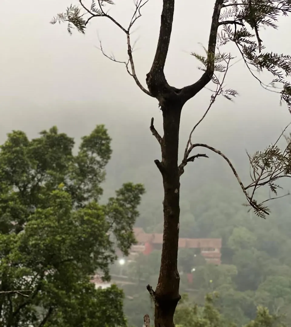 Misty Cloud Resort Vythiri 0*,