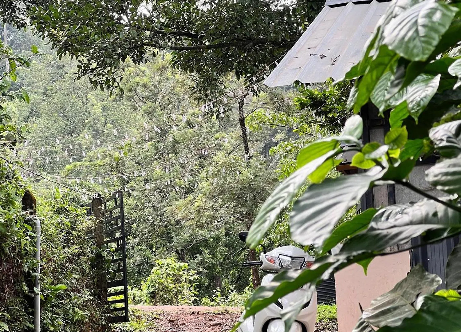 Misty Cloud Resort Vythiri